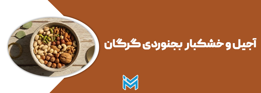 آجیل فروشی بجنوردی گرگان