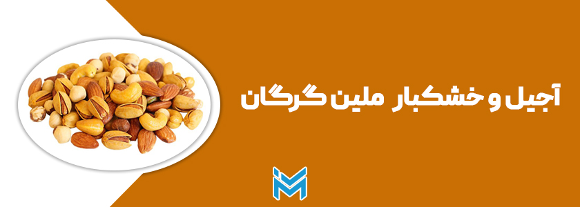 آجیل و خشکبار ملین گرگان
